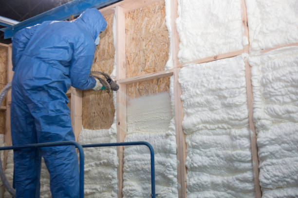 Oakbrook Terrace, IL Insulation Removal & Installation Company